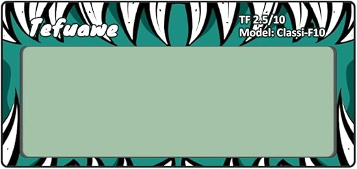 Tefuawe 2x4 1/4 Auto Darkening Welding Lens Low Amp TIG Shade 10